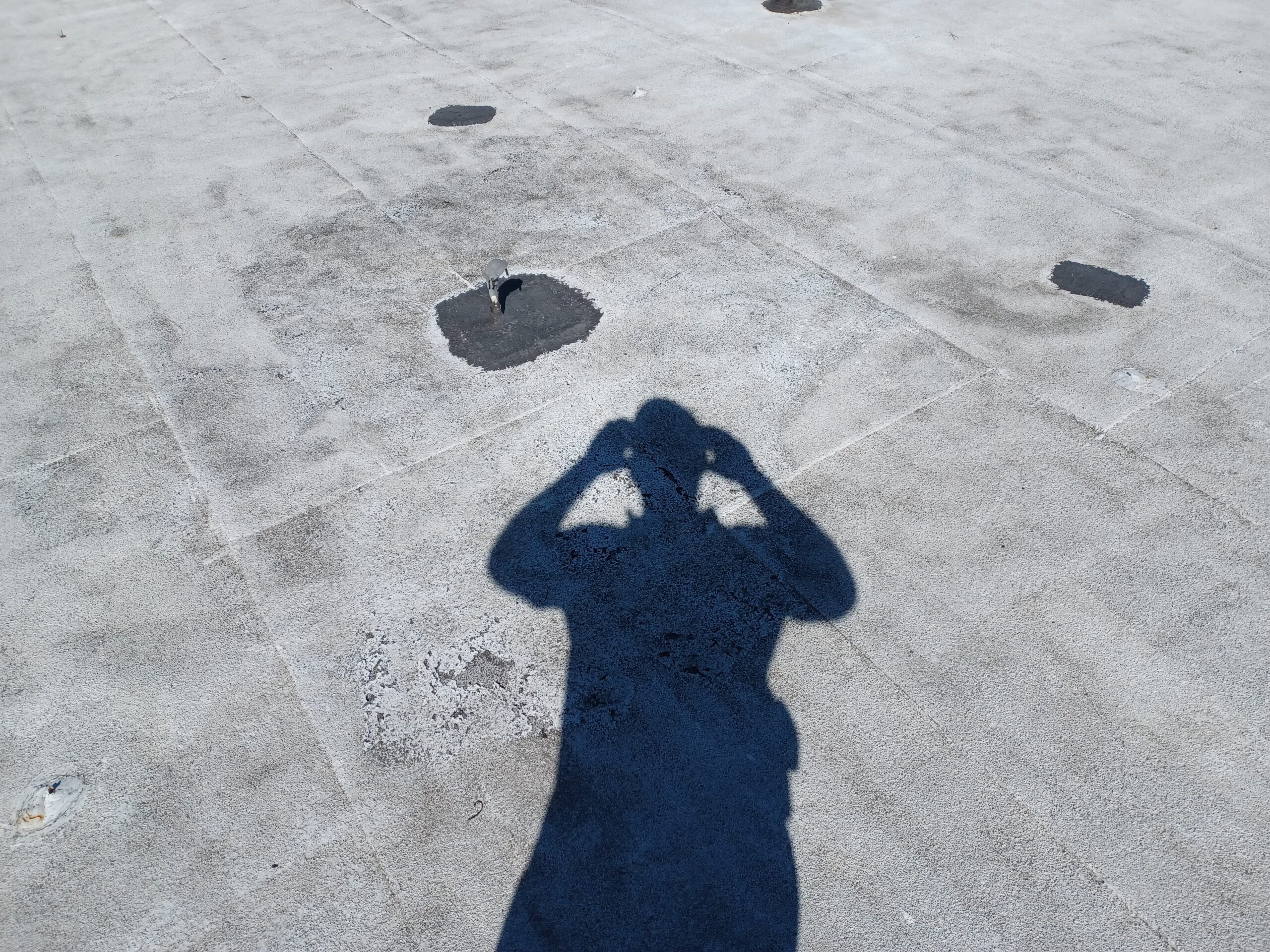 Roofing Services Los Angeles | Safeguard 20221019 142253