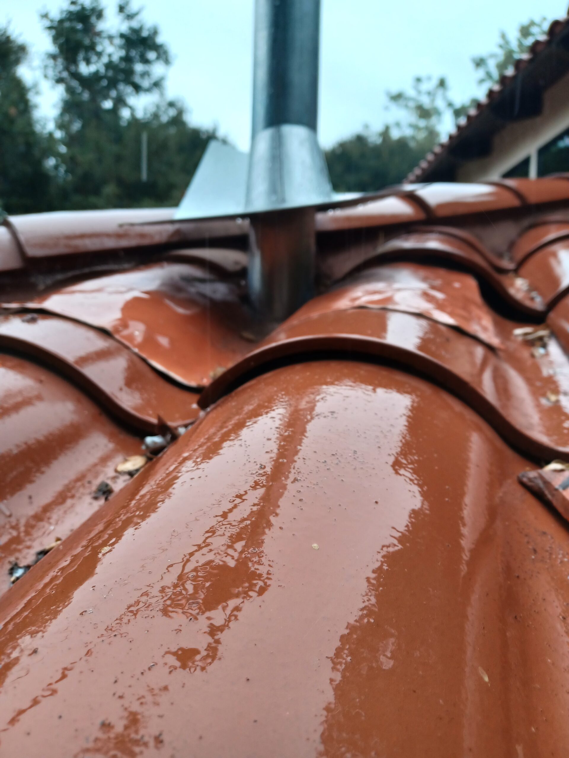 Roofing Services Los Angeles | Safeguard 20231115 124954